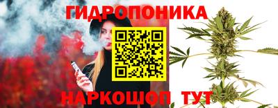 мяу мяу мука Усть-Илимск