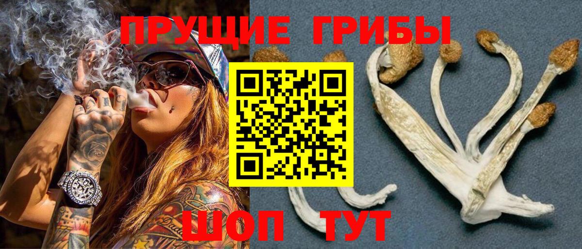 Галлюциногенные грибы GOLDEN TEACHER  Вход с VPN  как найти   Галлюциногенные грибы мицелий  Миллерово 